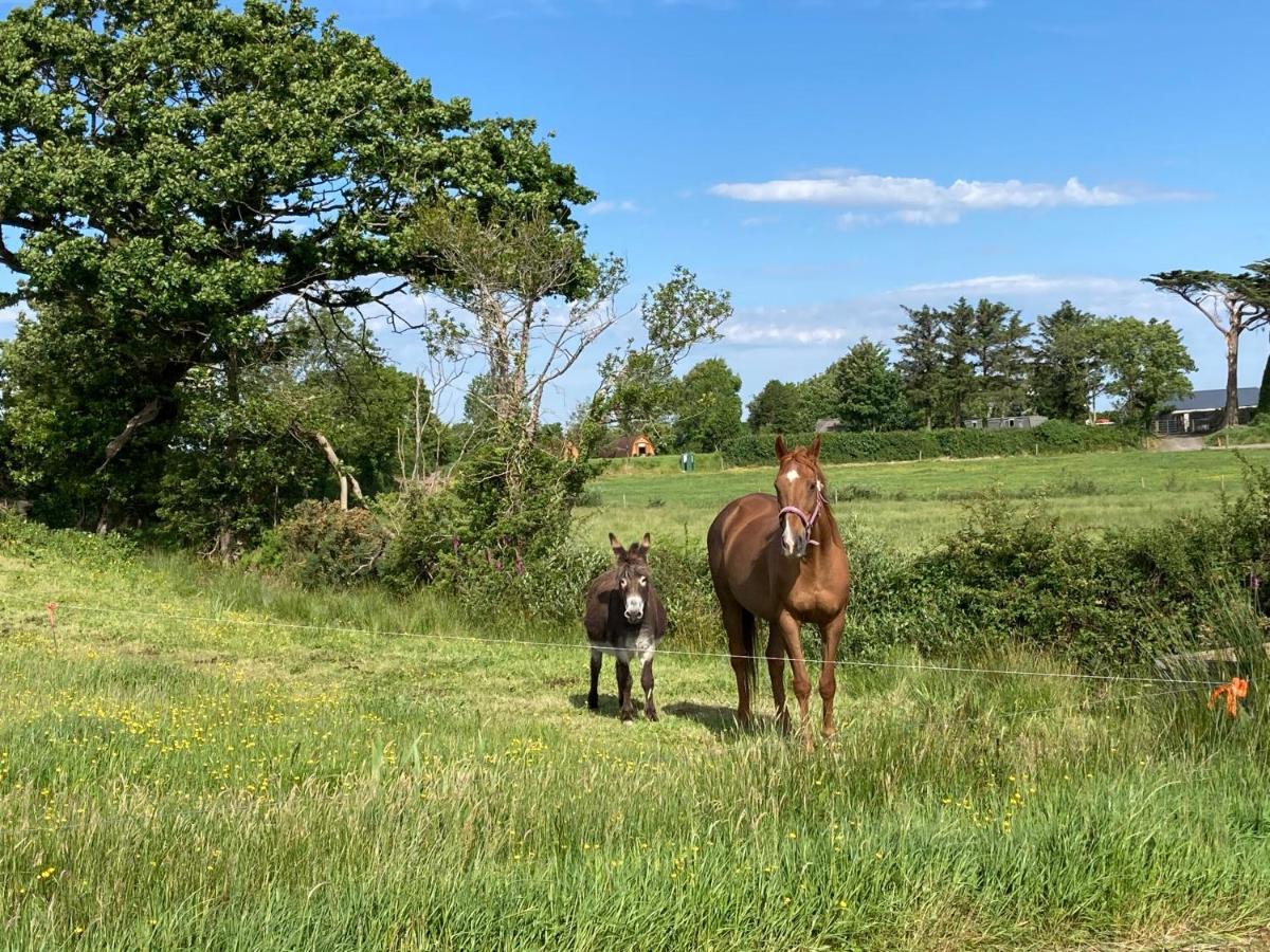 Отель Farmyard Lane Glamping Килларни Экстерьер фото